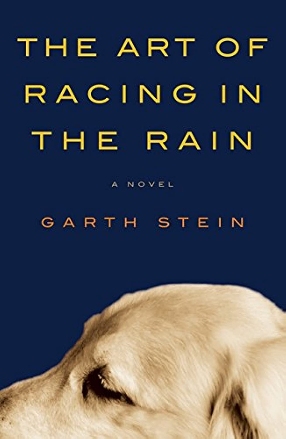 The Art of Racing in the Rain 9780062023063