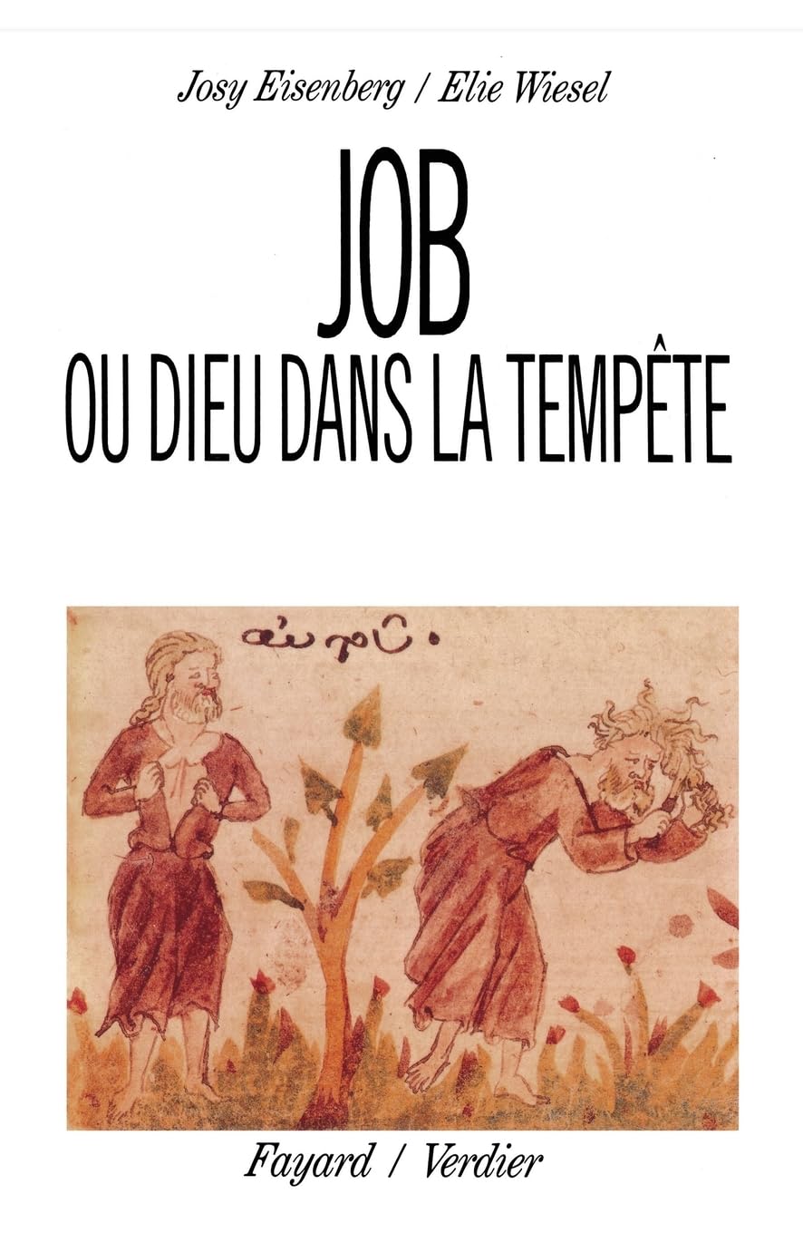 Job ou Dieu dans la tempête 9782213018430
