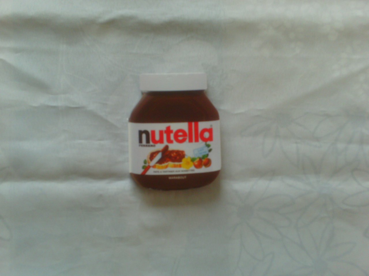 Le petit livre Nutella 9782501076227
