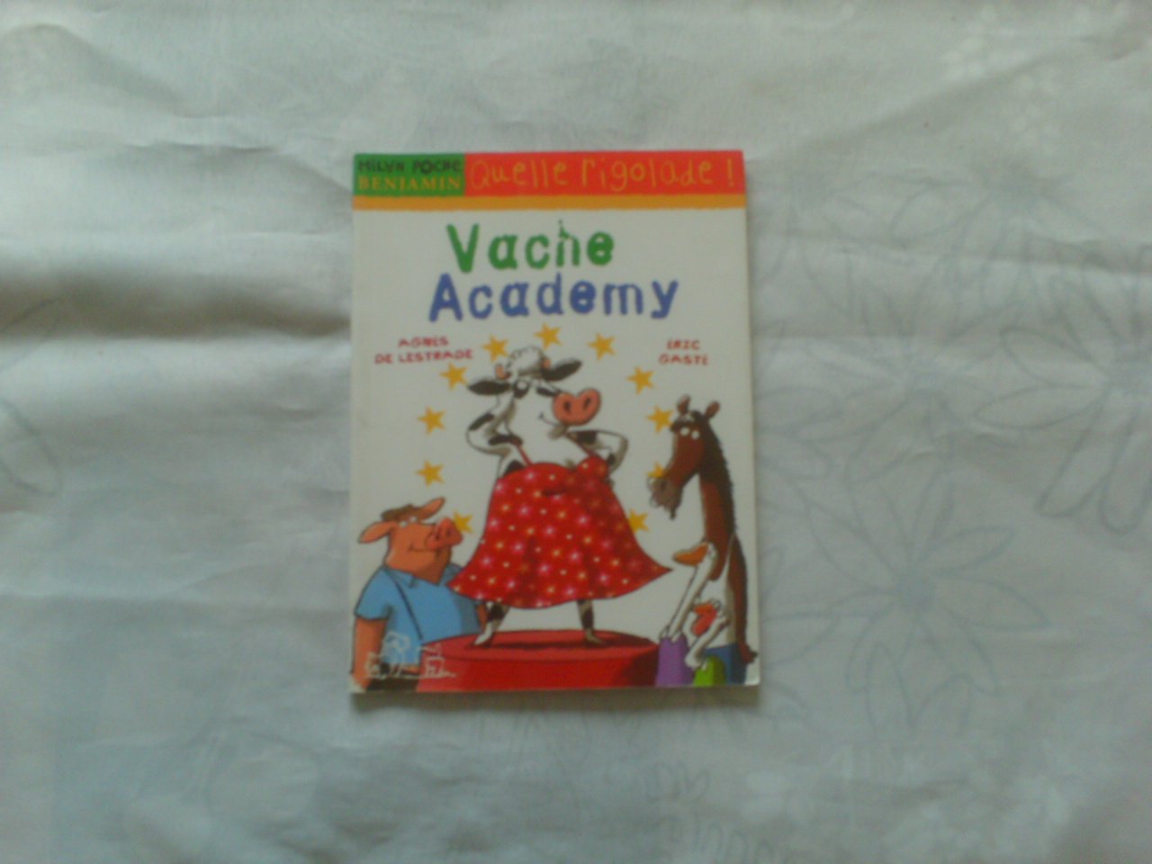 Vache Academy 9782745920331