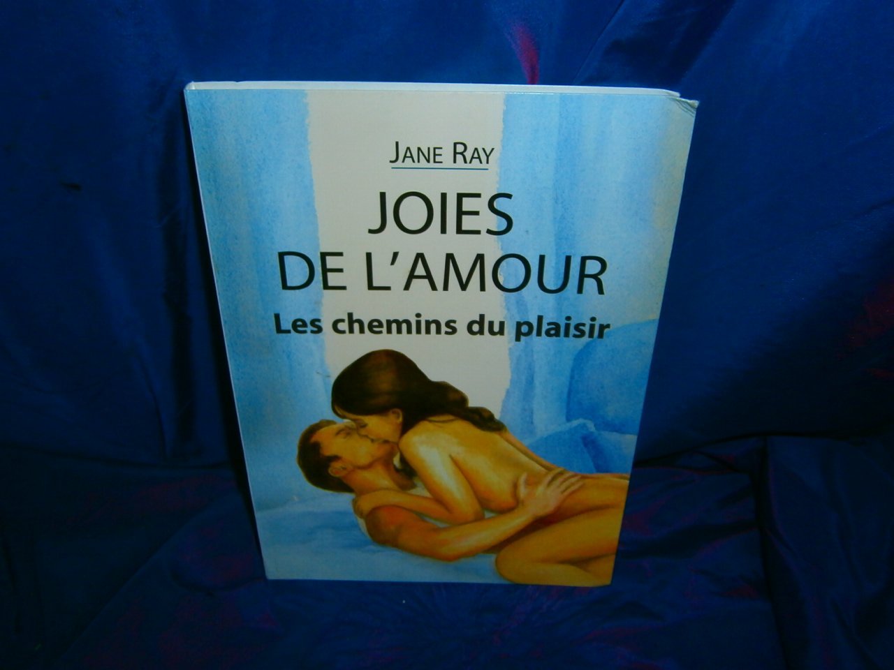 Loies De L'amour: Les Chemins Du Plaisir 9782702826317