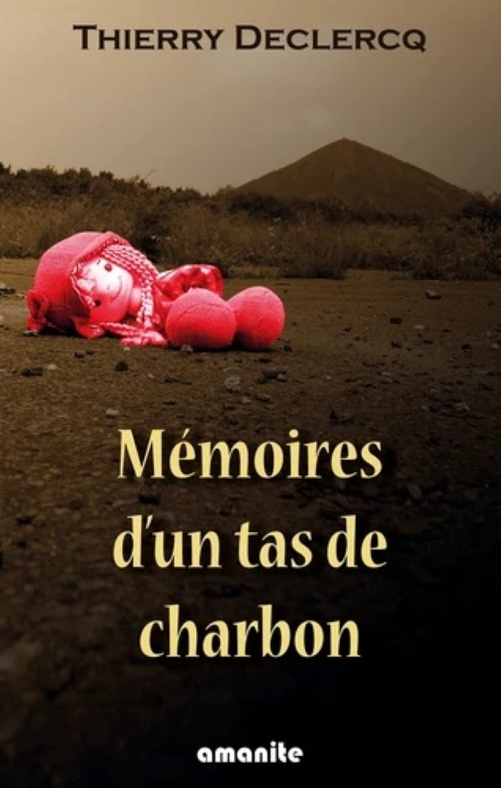 MEMOIRES D UN TAS DE CHARBON 9782902414062