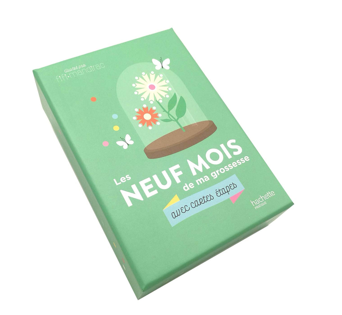 Les 9 mois de ma grossesse avec cartes étapes 9782019454500