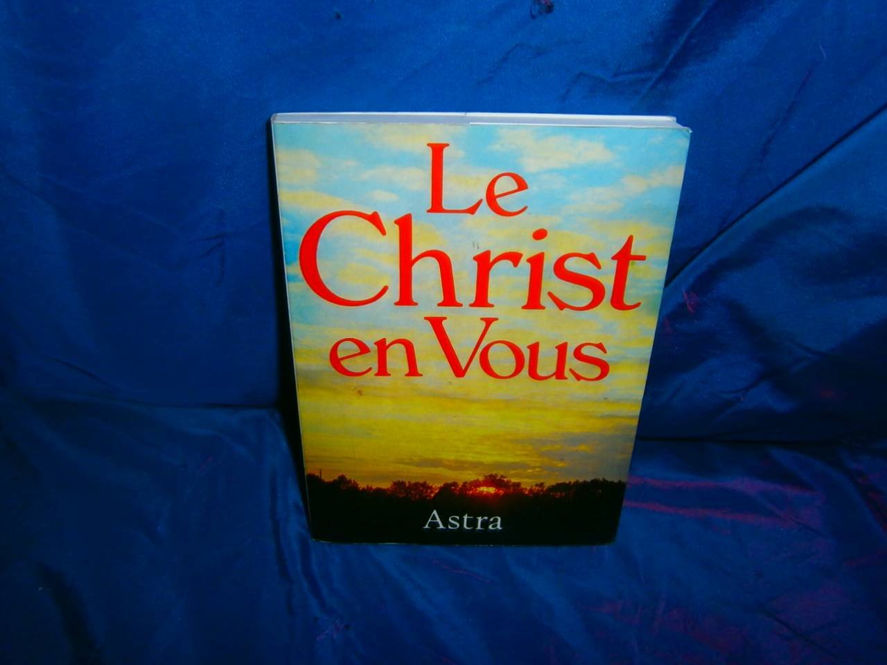 Le Christ en vous 9782900219232