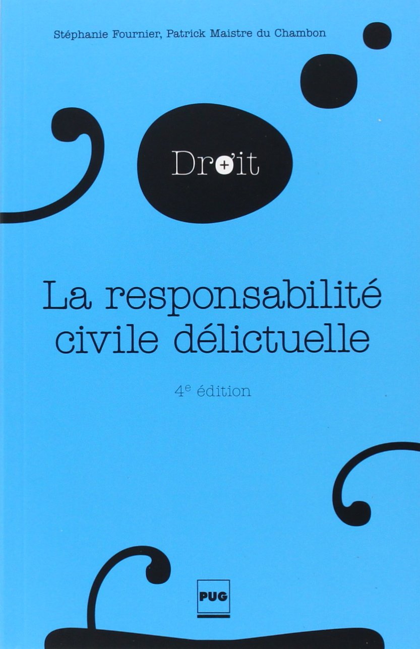 La Responsabilité civile délictuelle: 4e édition 9782706122088
