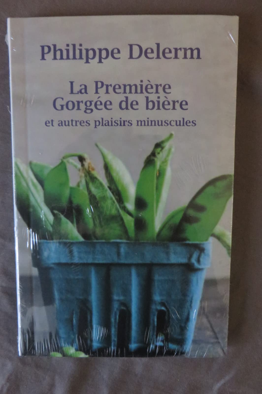 La première gorgée de bière et autres plaisirs miniscules. 9782286141394