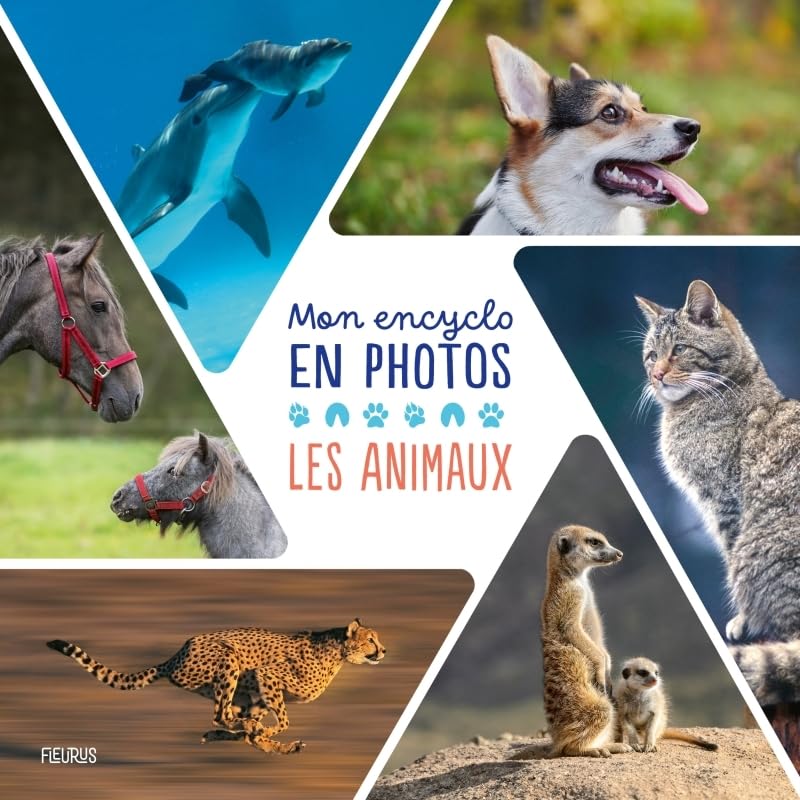 Mon encyclo en photos - Animaux 9782215194514