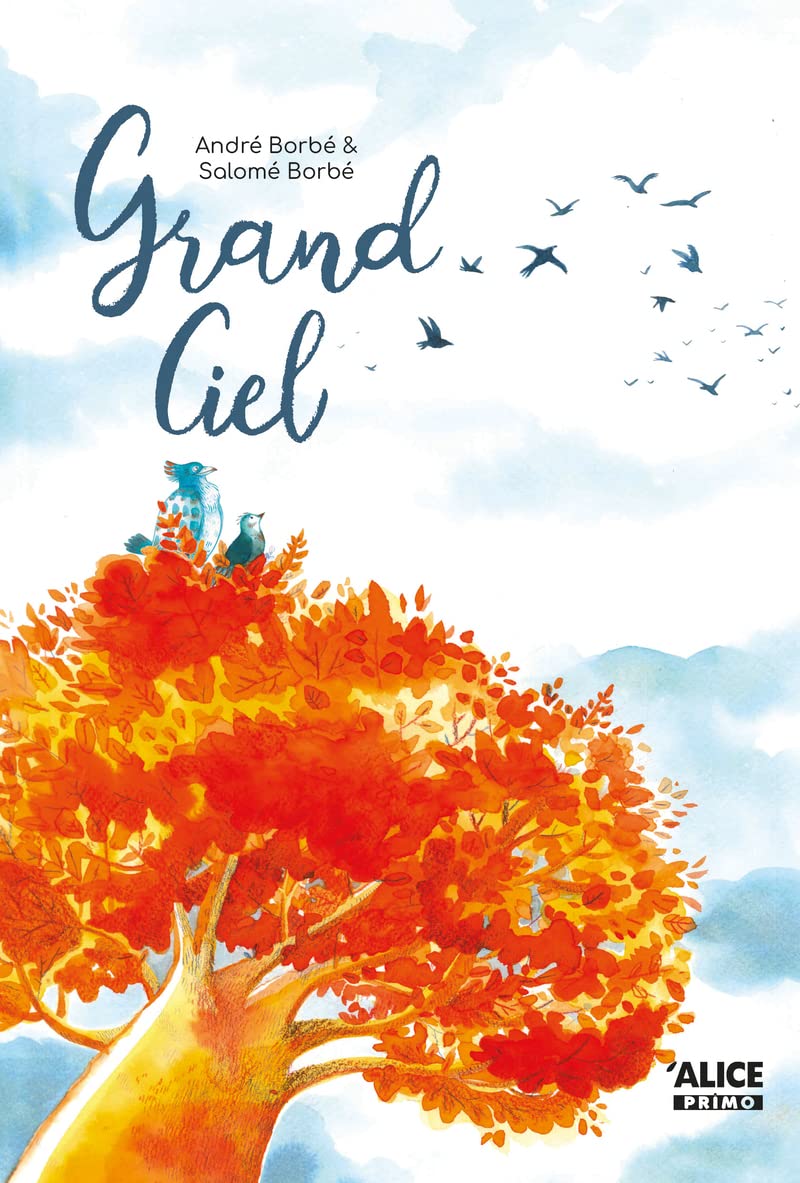 Grand ciel 9782874265334