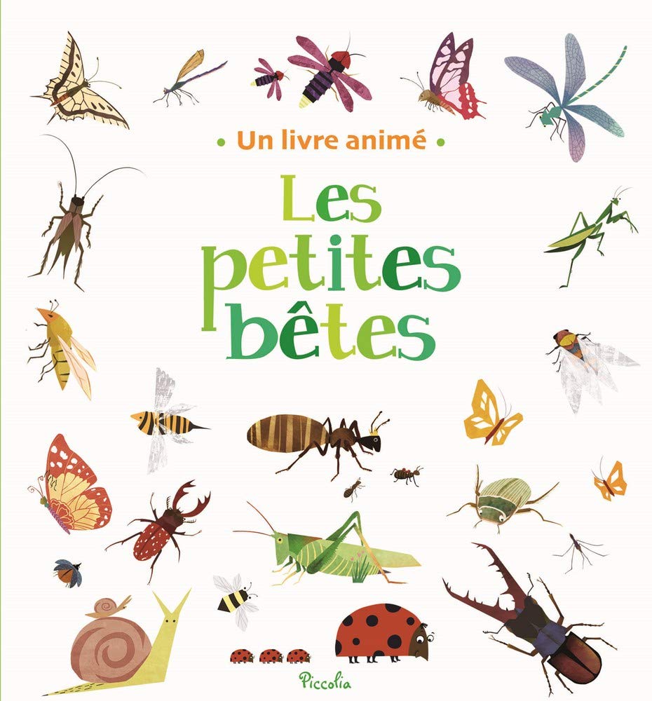 Les petites bêtes 9782753066182