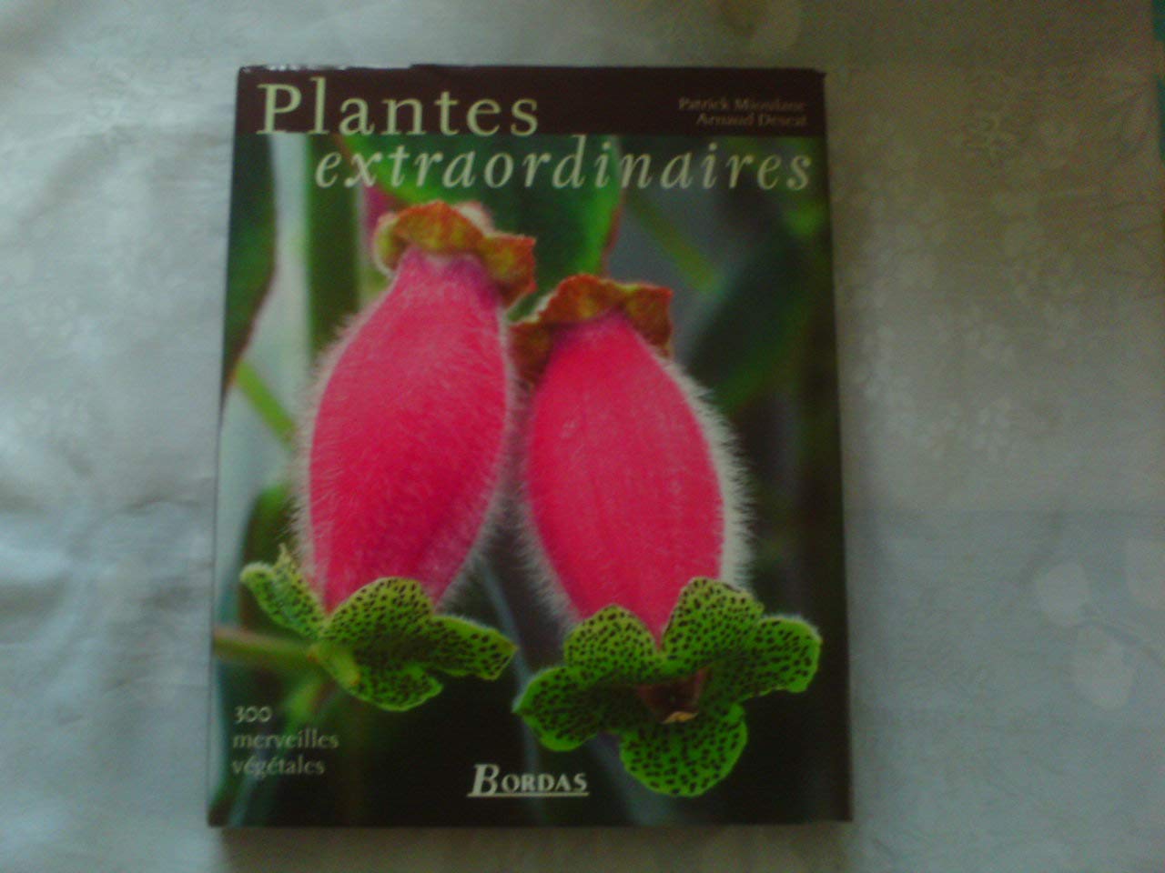 Les Plantes extraordinaires 9782047600245