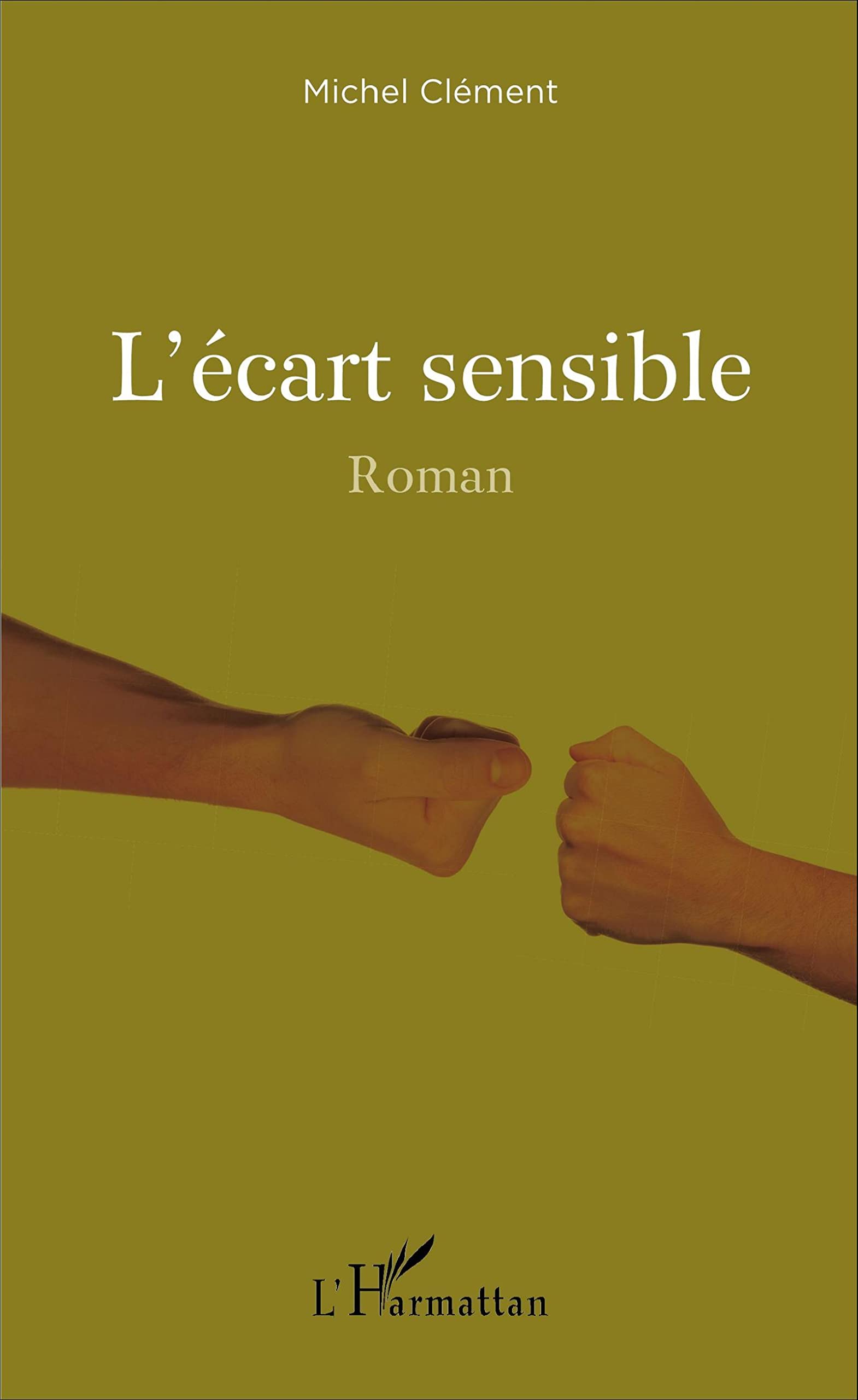 L'écart sensible: Roman 9782343093185