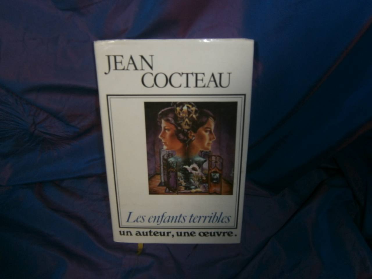 Les Enfants terribles (Un Auteur, une oeuvre) 9782724201260