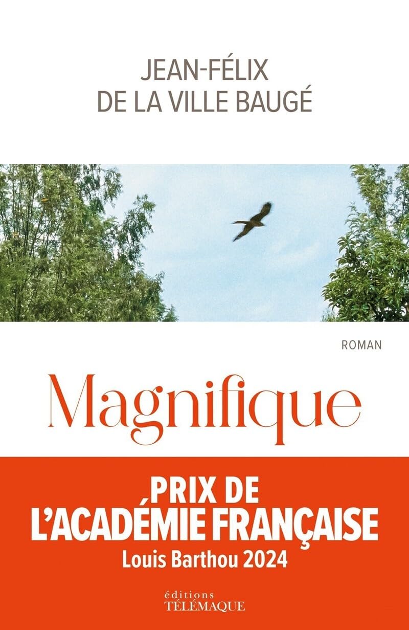 Magnifique 9782753304703
