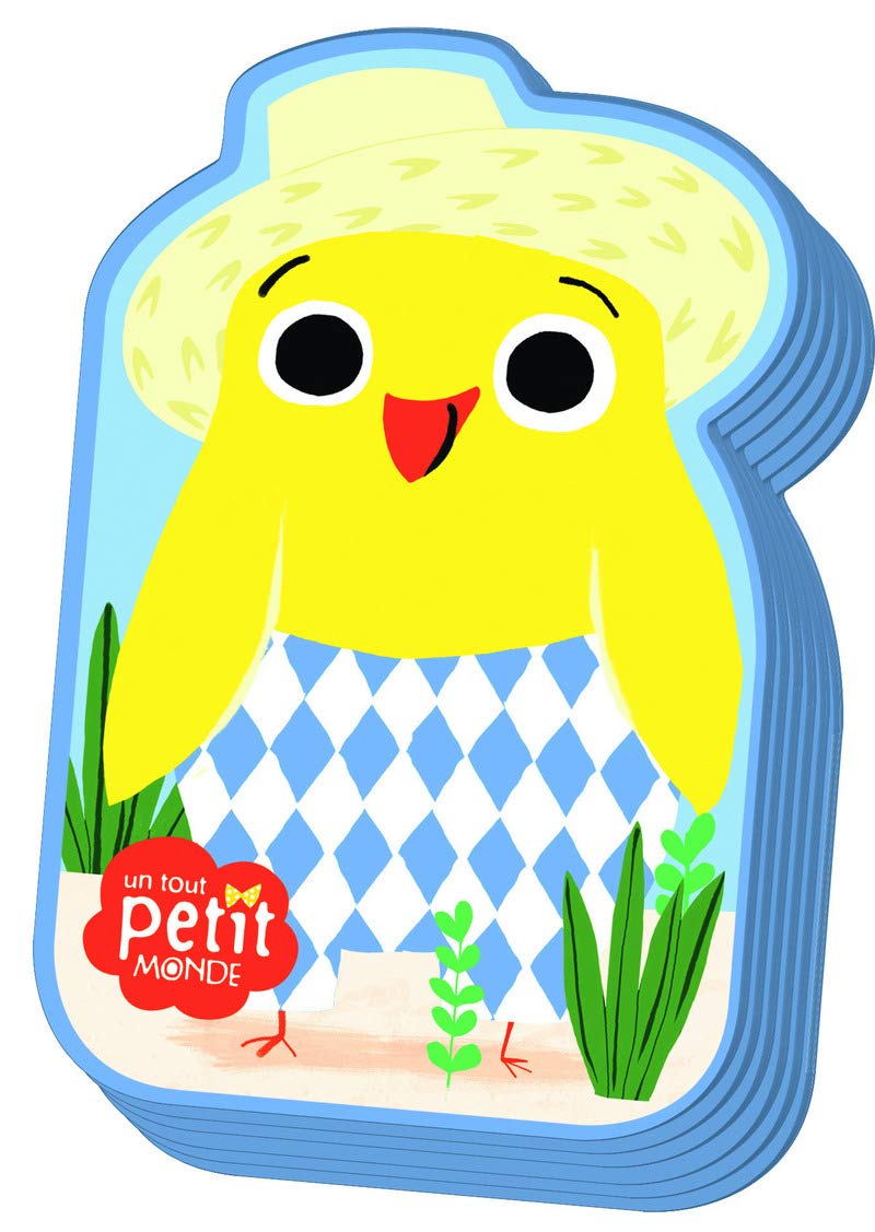 Augustin et les contraires 9782324010255