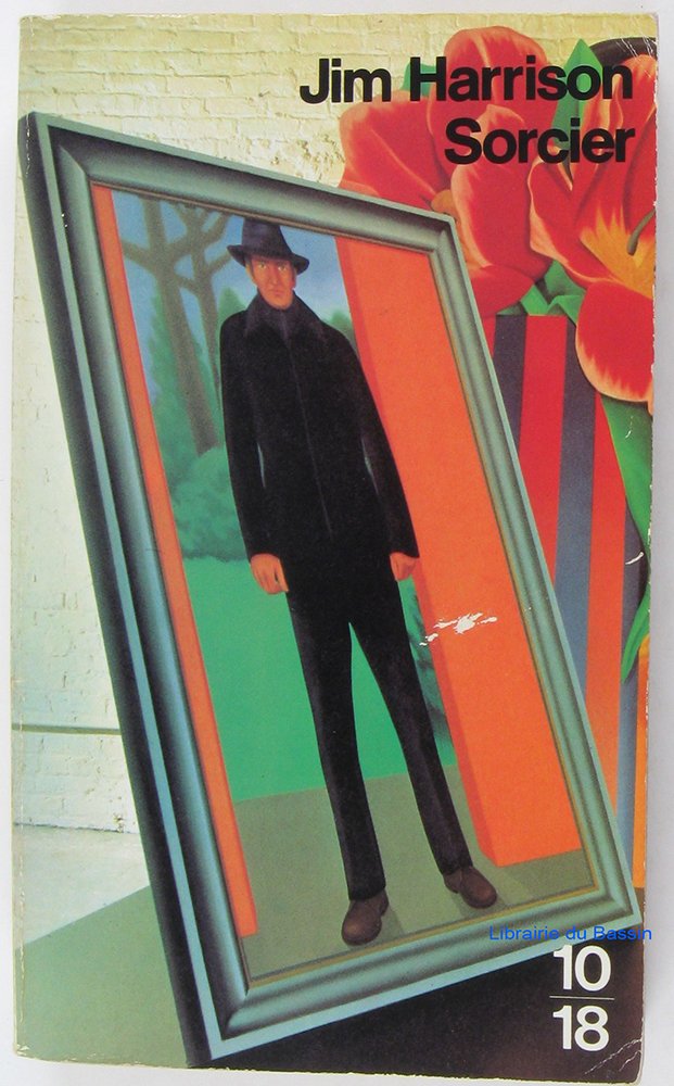 Sorcier 9782264012876