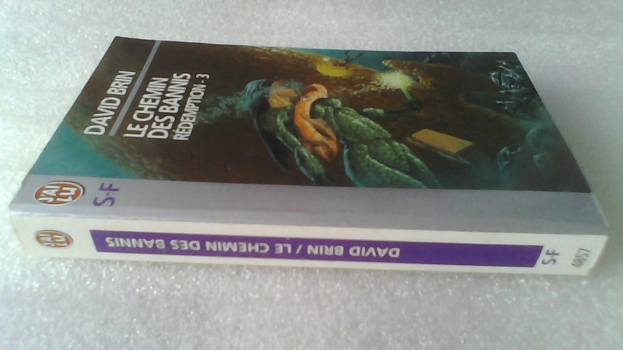 Rédemption, tome 3 : Le Chemin des bannis 9782290048573