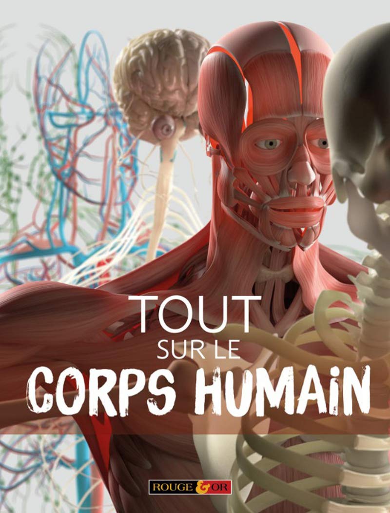 Tout sur le corps humain - Livre documentaire - Dès 7 ans 9782261405084