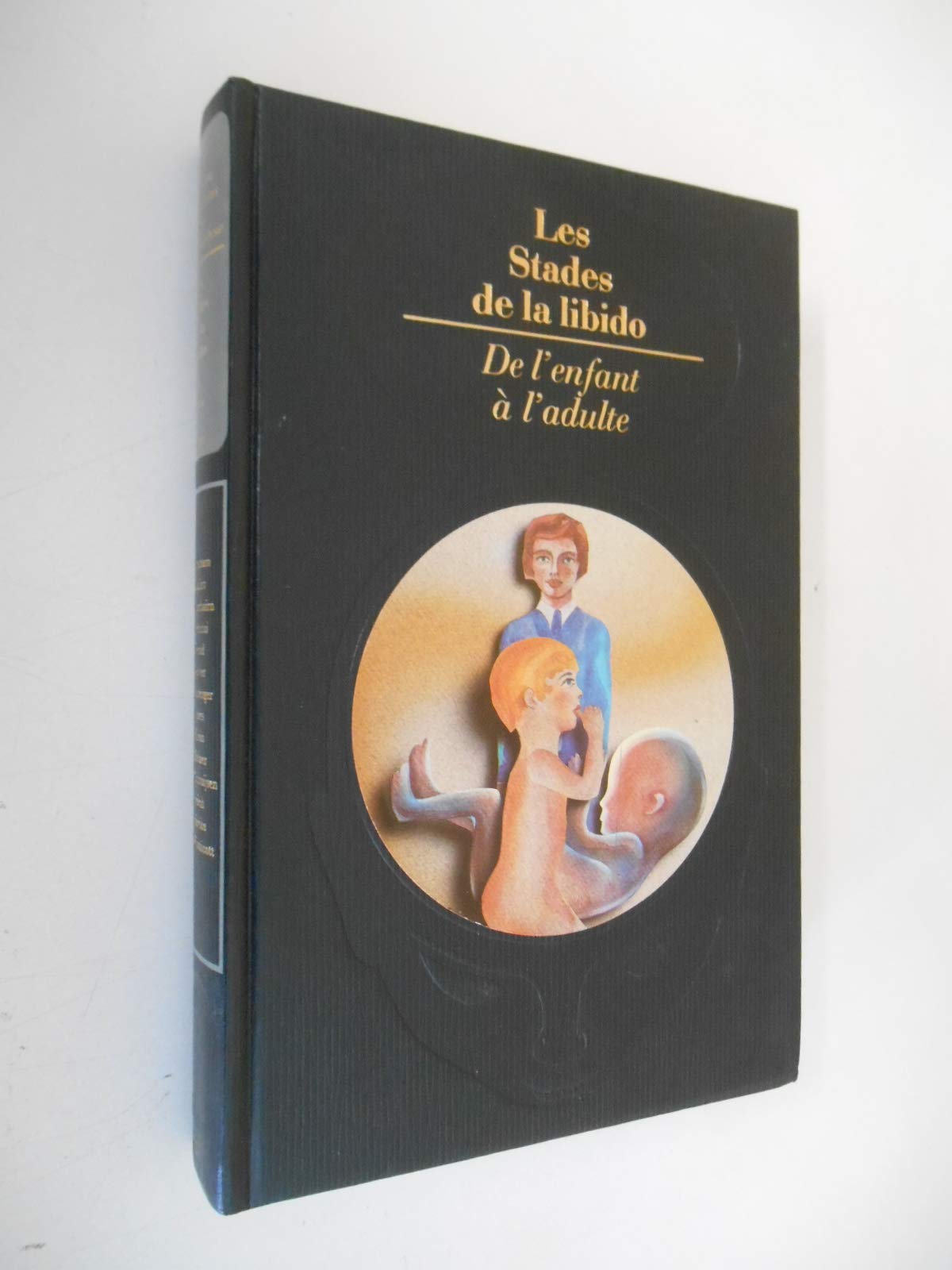 Les stades de la libido : de l'enfant a l'adulte 9782710700838