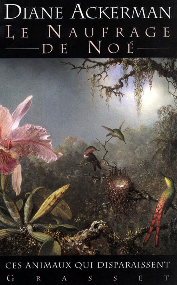 Le naufrage de Noé 9782246536116