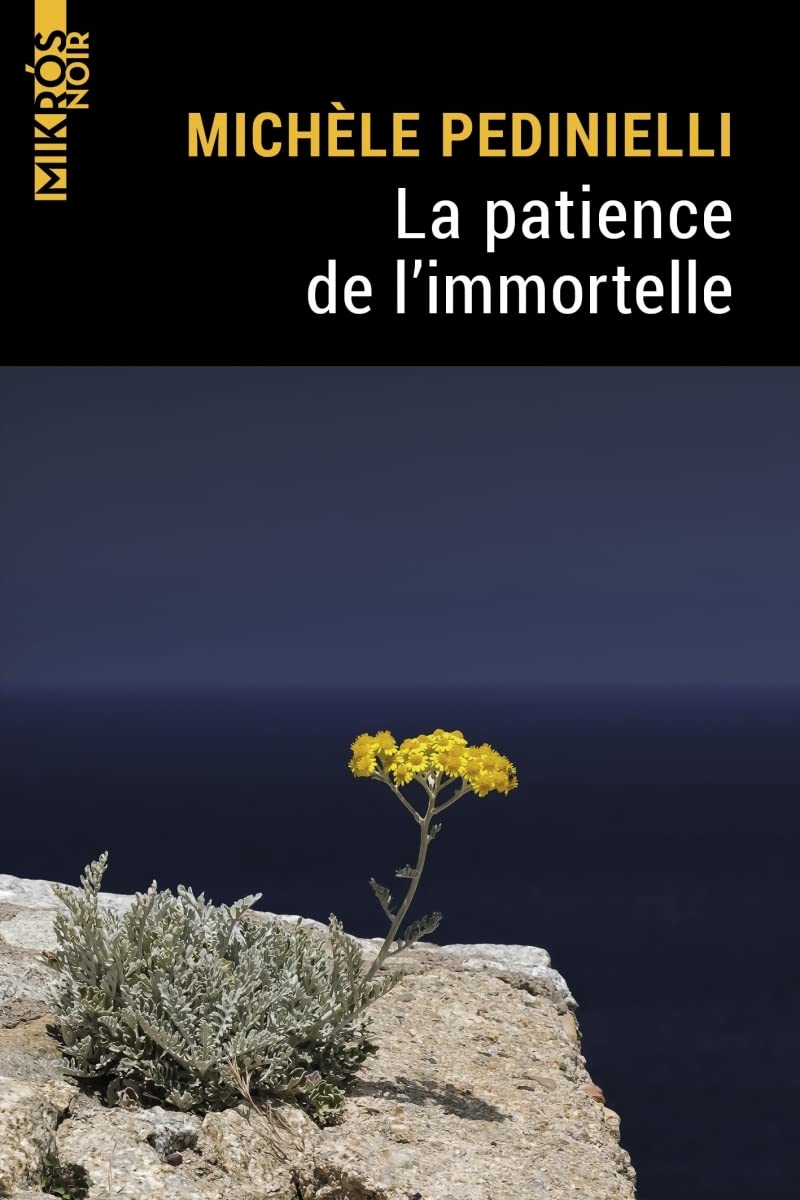 La patience de l'immortelle 9782815950961