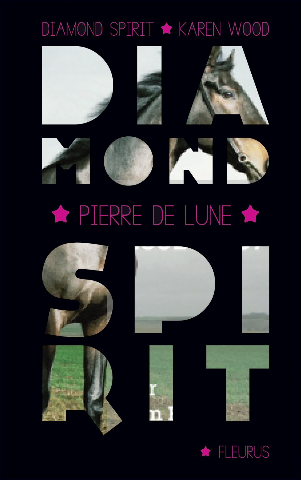 Diamond spirit - Tome 2 - L'esprit du cheval sauvage 9782215123675