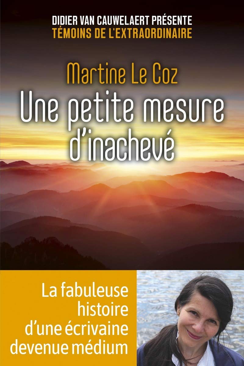 Une petite mesure d'inachevé 9782412031285