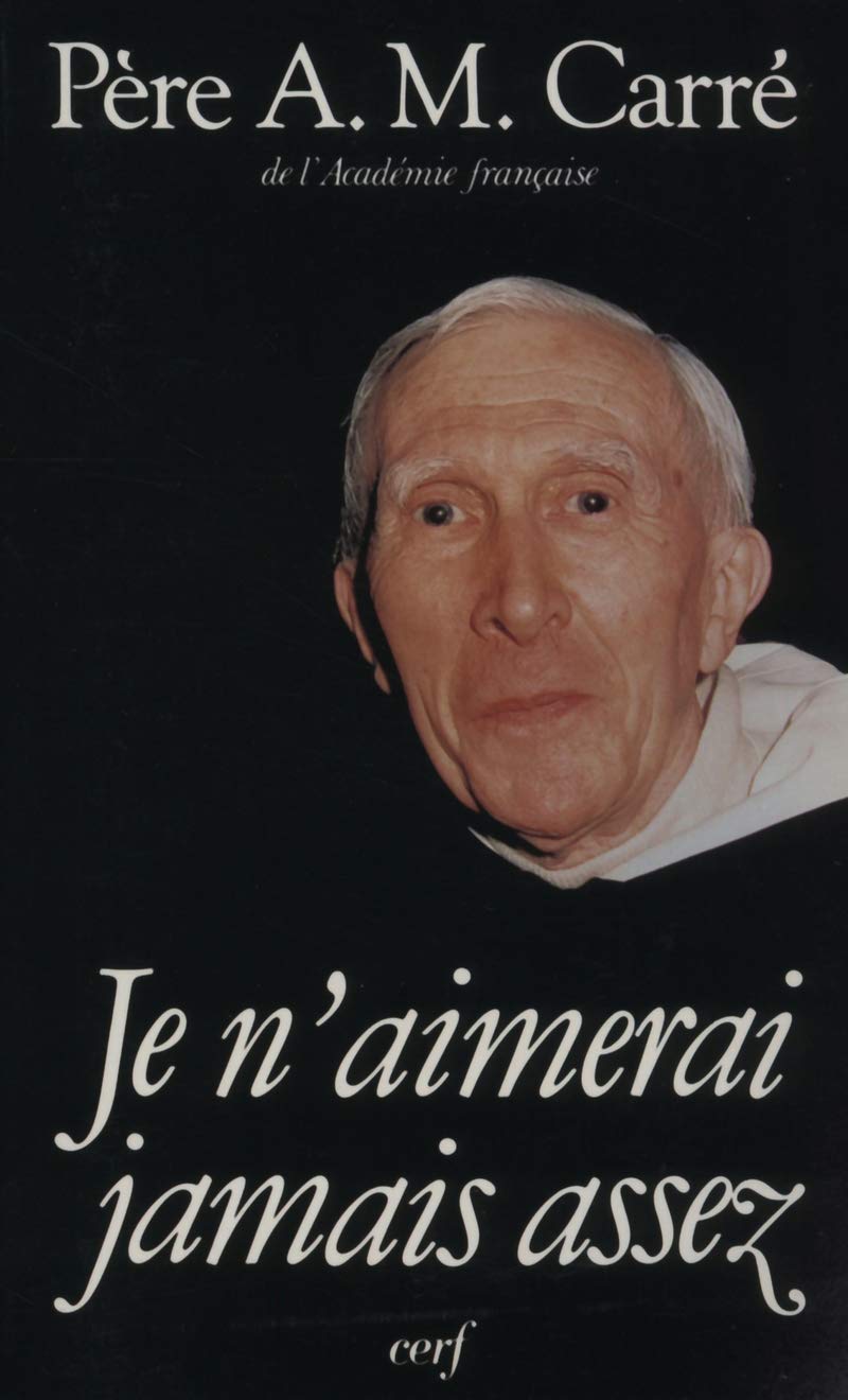 Je n'aimerai jamais assez 9782204028639