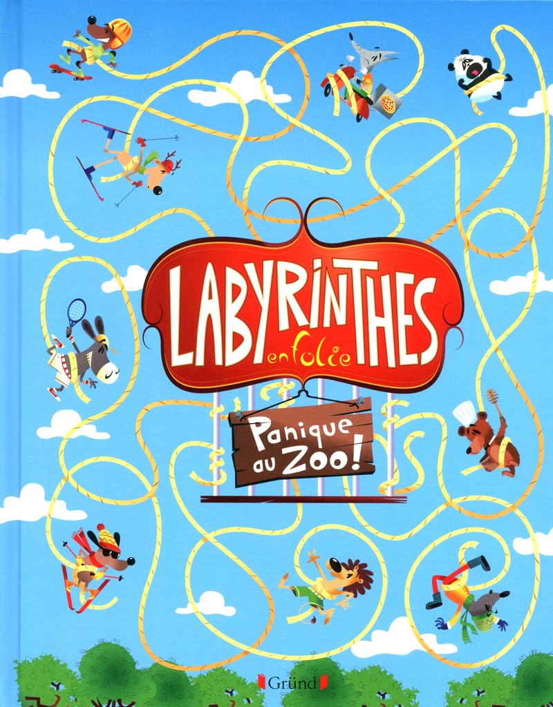 LABYRINTHES EN FOLIE - PANIQUE 9782324002601