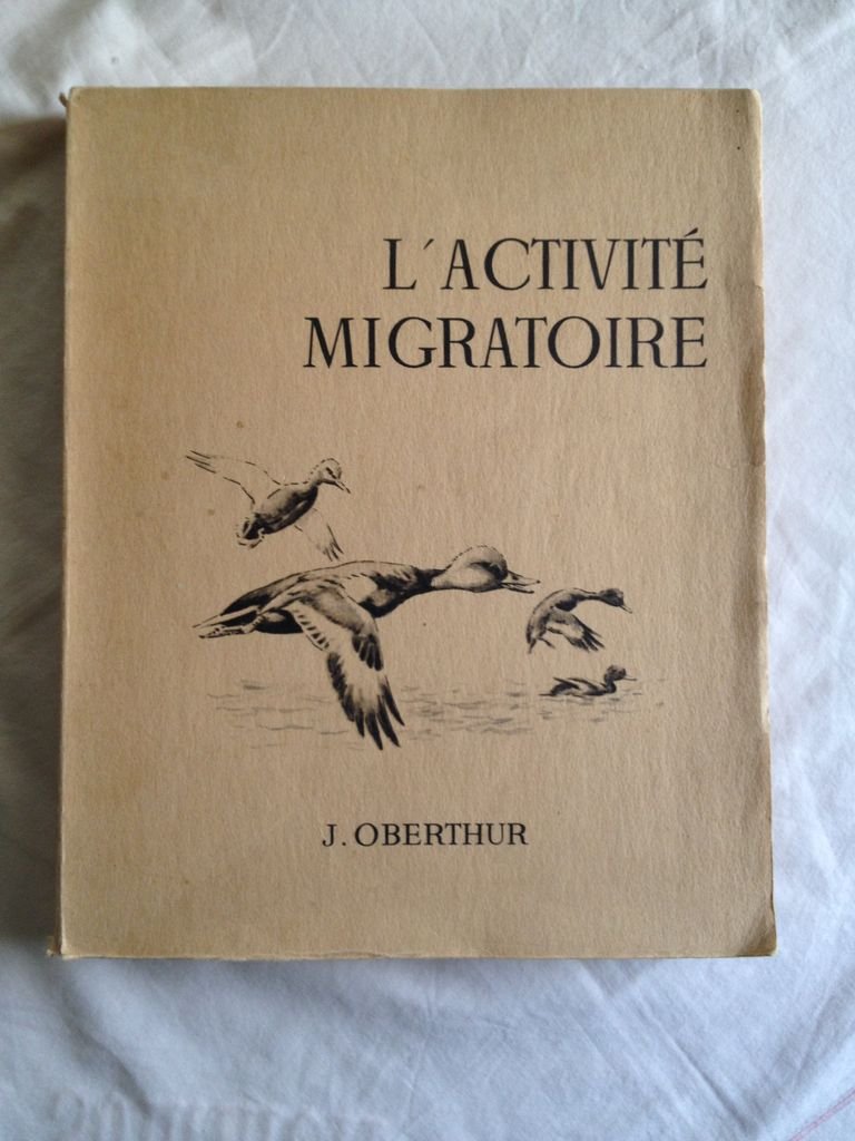 L’ACTIVITE MIGRATOIRE