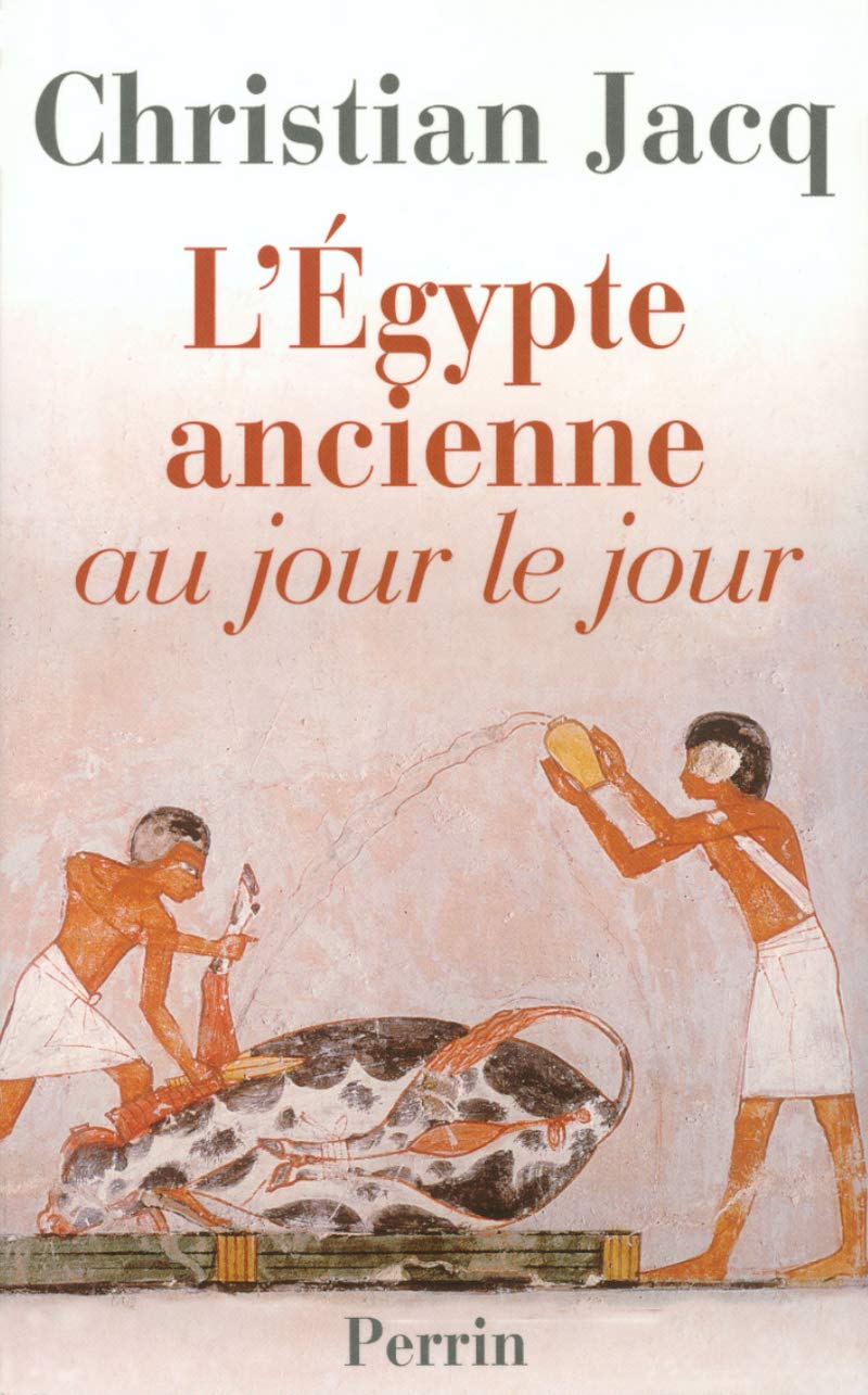 Egypte ancienne au jour 9782262013523