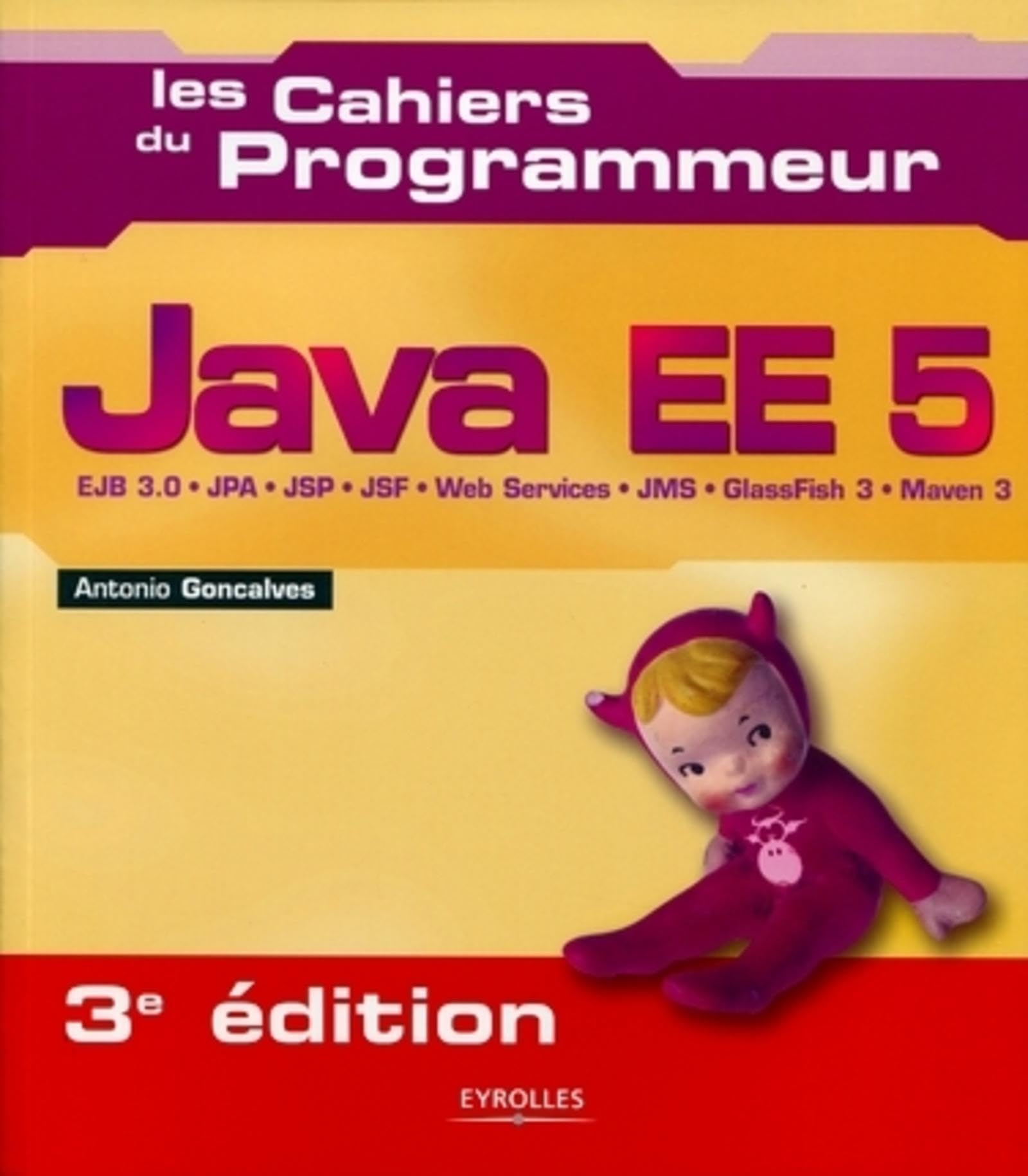 Java EE5 : EJB 3.0 - JPA - JSP - JSF - Web services - JMS - GlassFish 3 - Maven 3 9782212126587