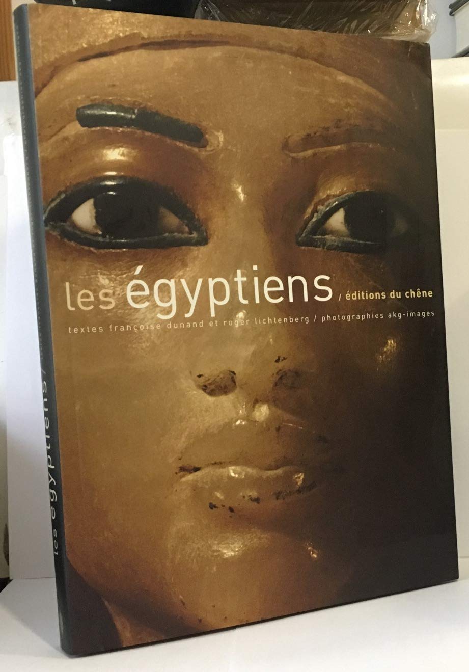 Les égyptiens (Ancien prix éditeur : 45,50 Euros) 9782842775179