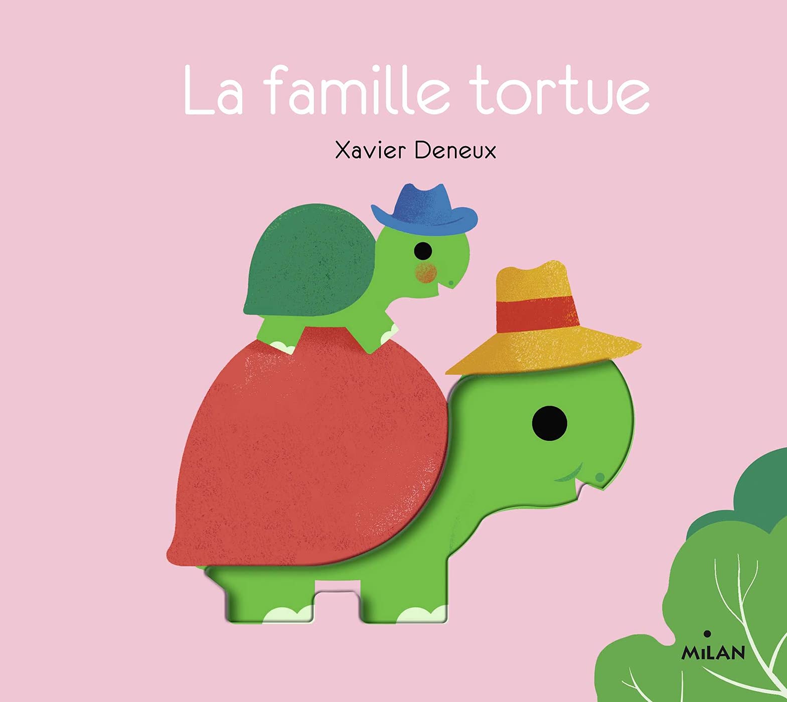 La famille tortue 9782408030841