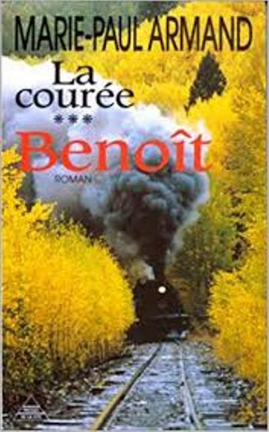 La courée Tome 3 : Benoît 9782286040093