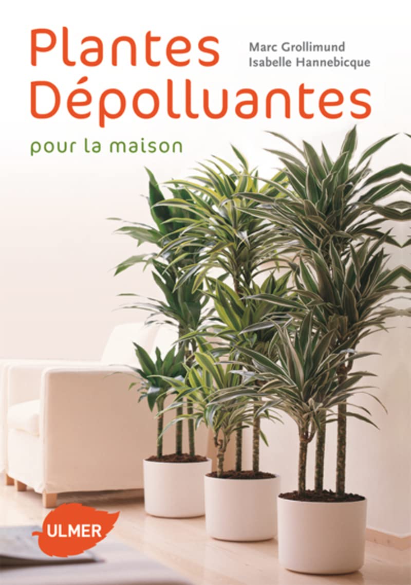 Plantes dépolluantes pour la maison 9782841383290