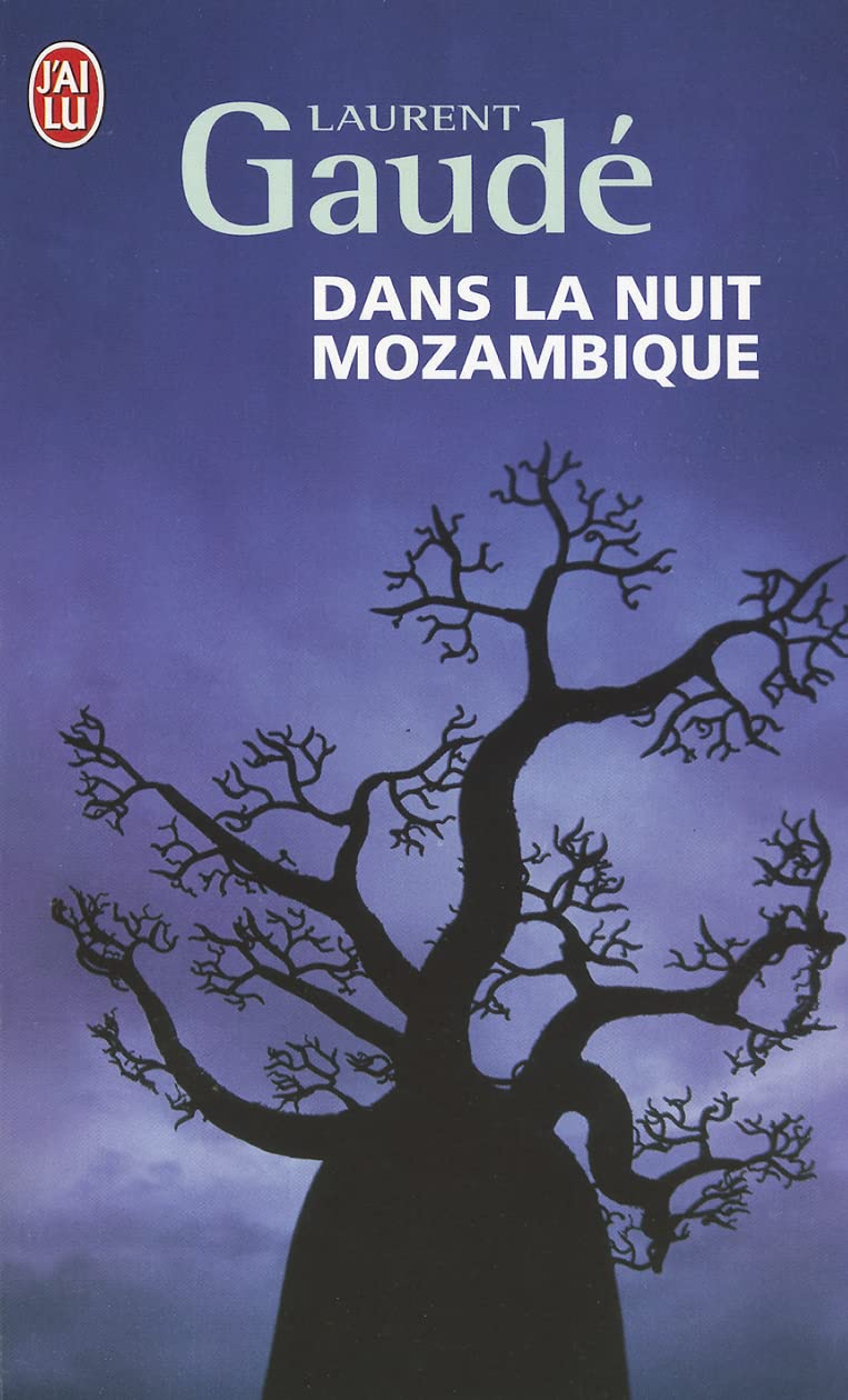 Dans la nuit mozambique: Et autres récits 9782290036662
