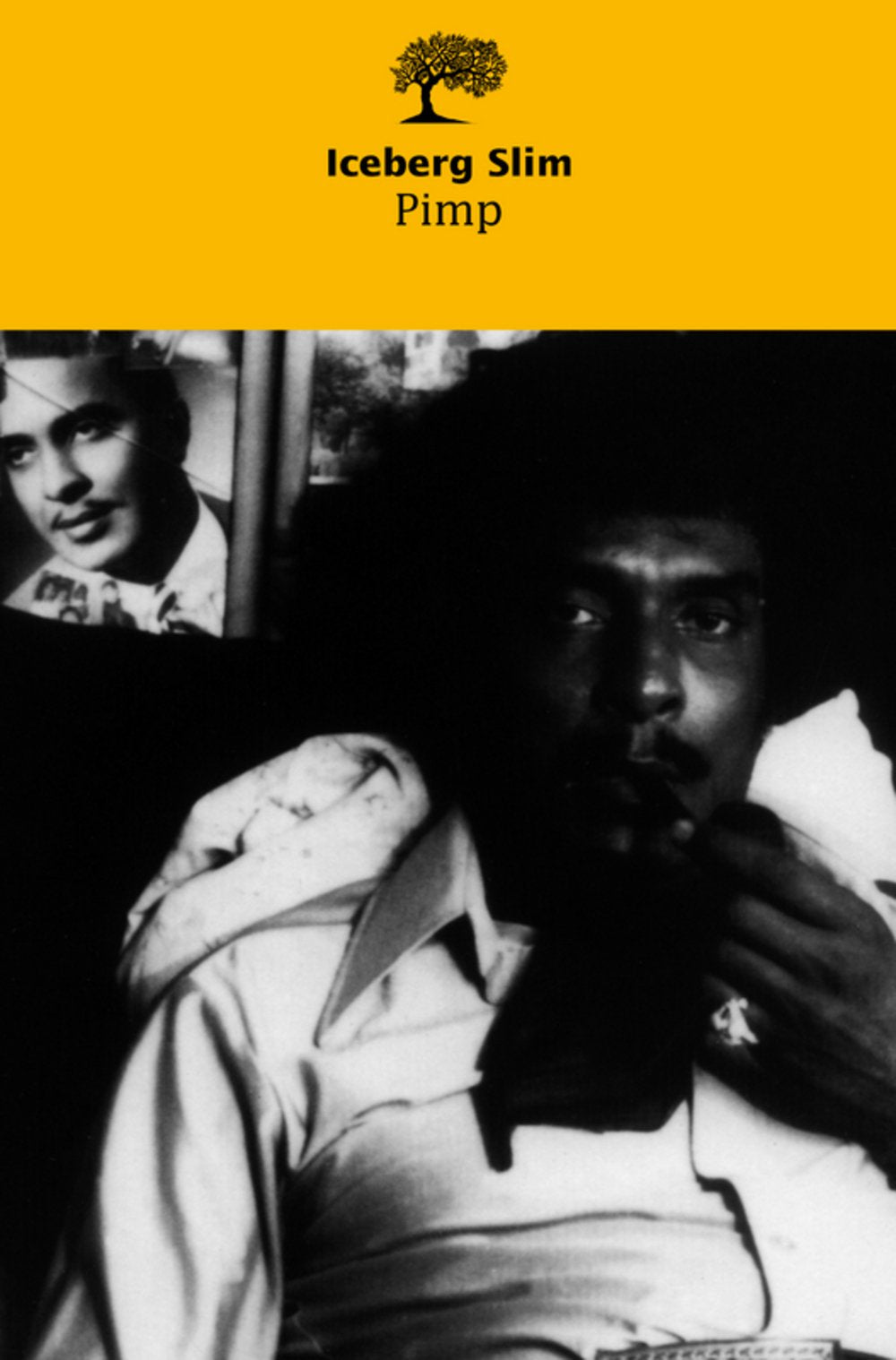 Pimp. Memoires D'Un Maquereau 9782879291390