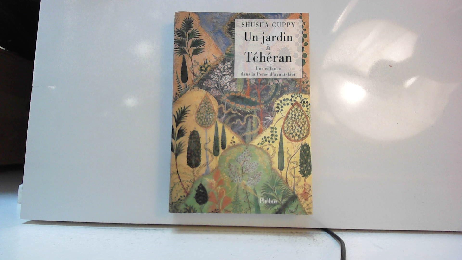 UN JARDIN A TEHERAN: UNE ENFANCE DANS LA PERSE D AVANT HIER 9782859403935