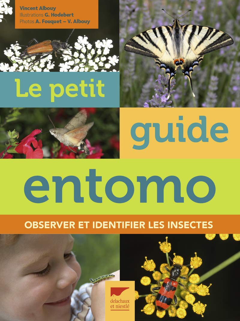 Le Petit guide entomo: Observer et identifier les insectes 9782603024959