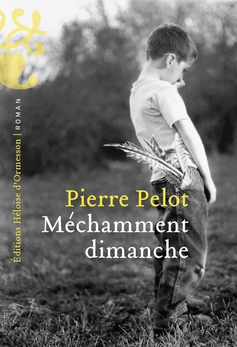 Méchamment dimanche 9782487819108