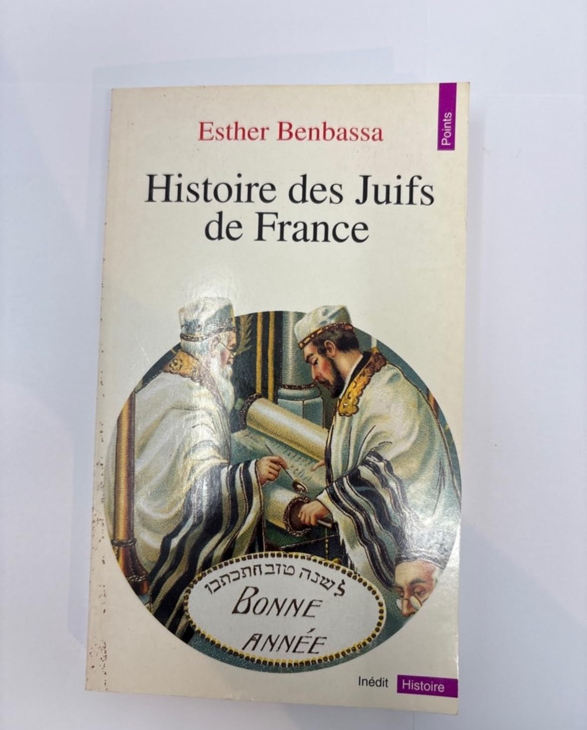 Histoire des Juifs de France 9782020295048