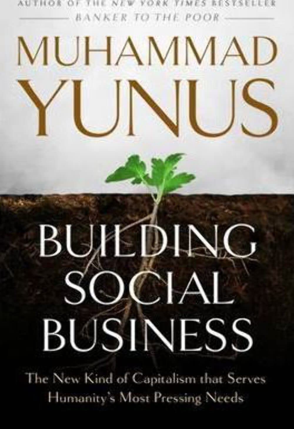 Building Social Business: The New Kind of Capitalism That Serves Humanity's Most Pressing Needs 9781586488246