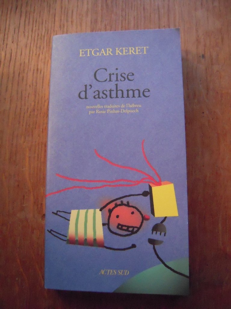 Crise d'asthme 9782742740932