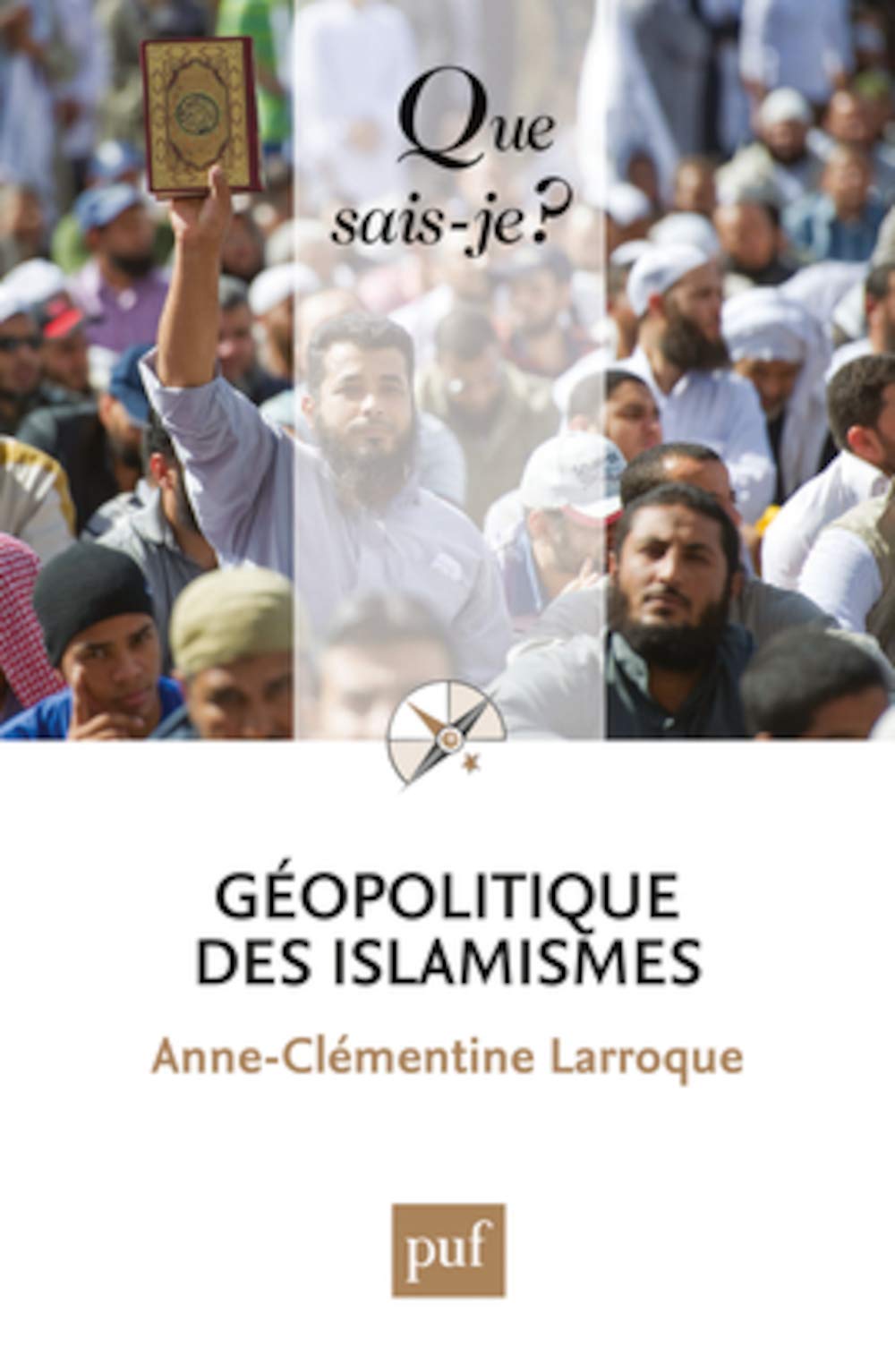 Géopolitique des islamismes 9782130632122