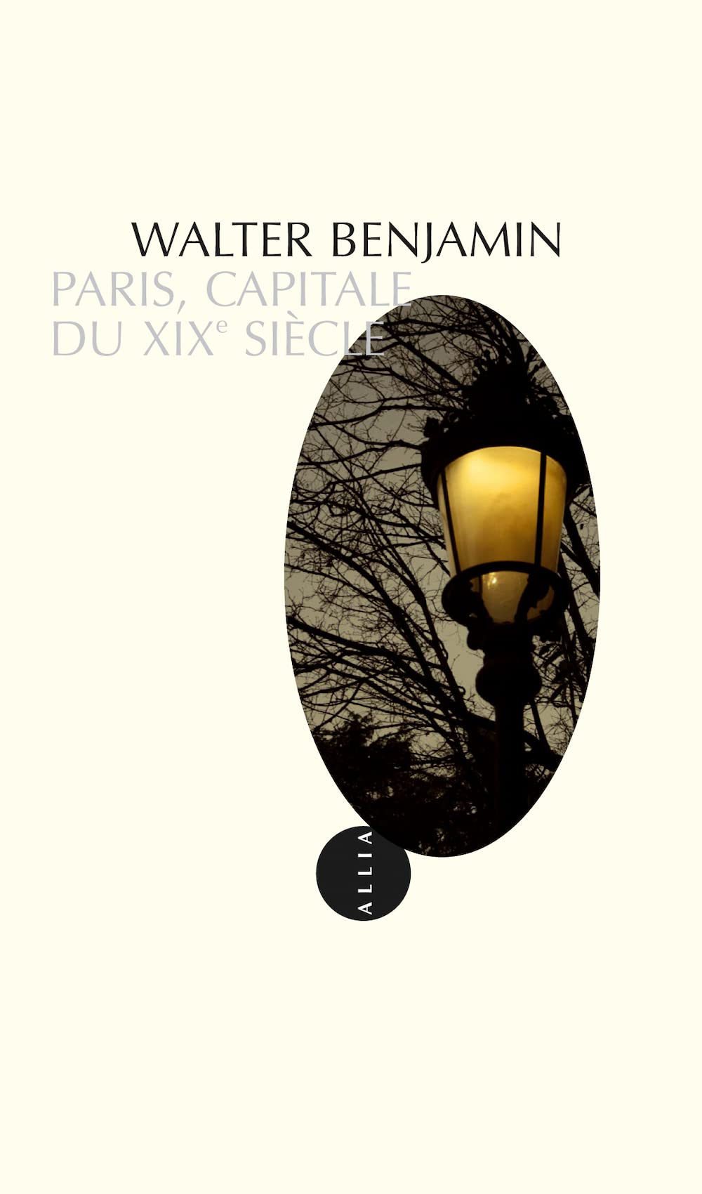 Paris, capitale du XIXe siècle 9782844851062