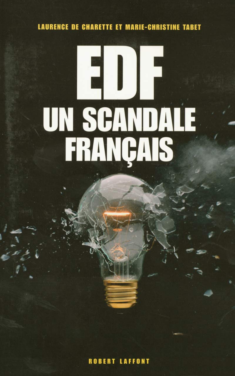 EDF : Un scandale français 9782221102190