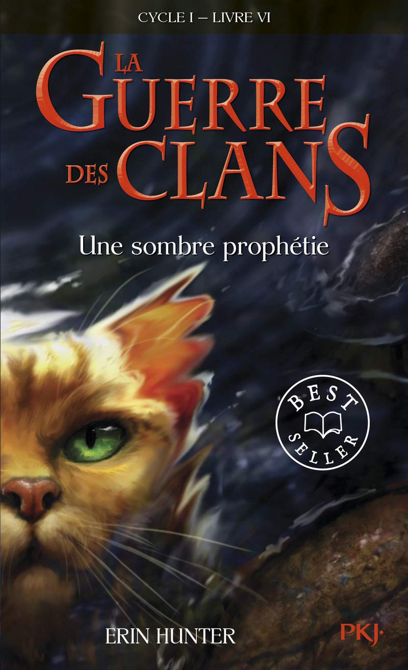 La guerre des Clans, cycle I - tome 06 : Une sombre prophétie 9782266208178