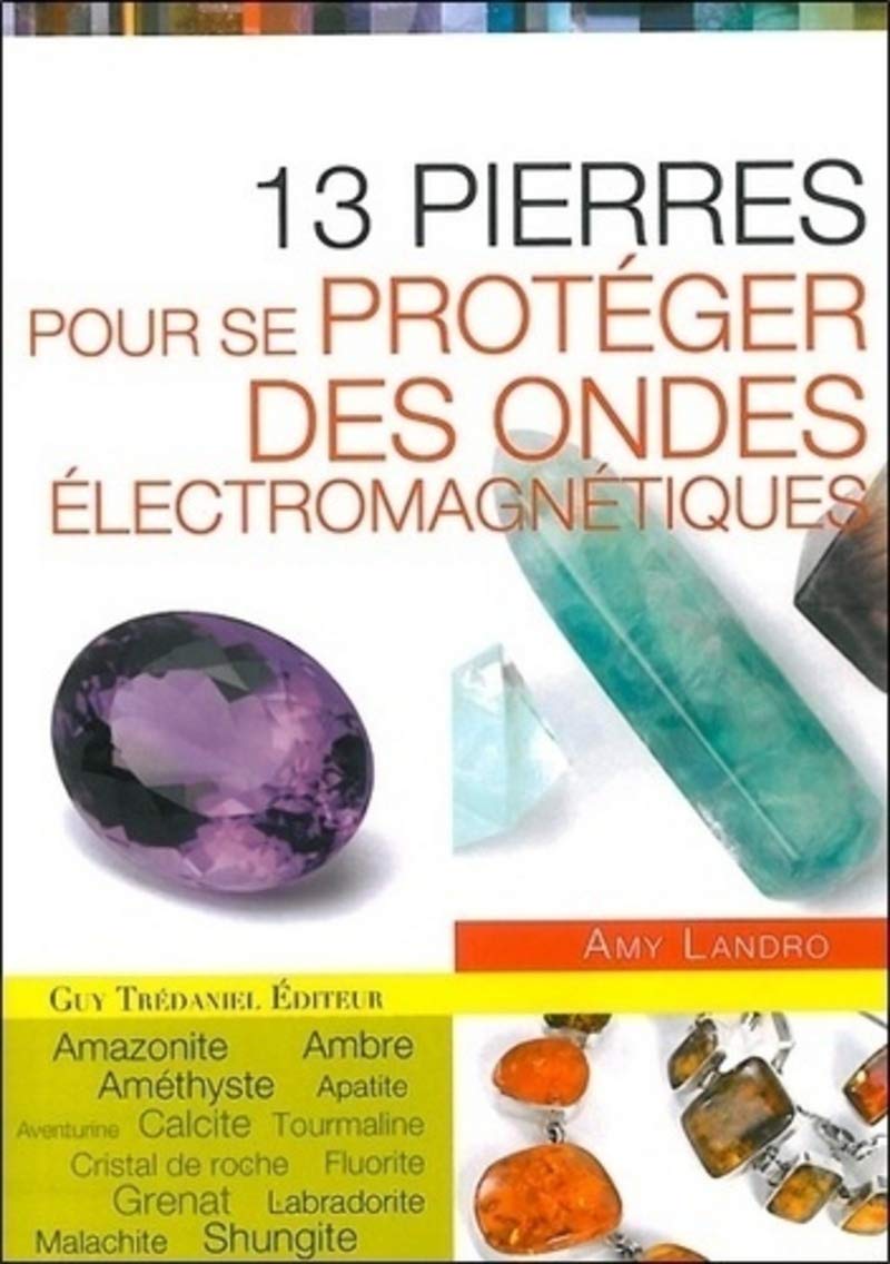 13 pierres pour se protéger des ondes électromag nétiques 9782813202659