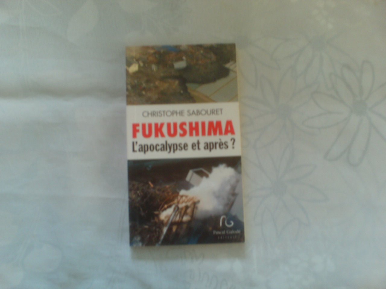 Fukushima: L'apocalypse et après ? 9782355931499