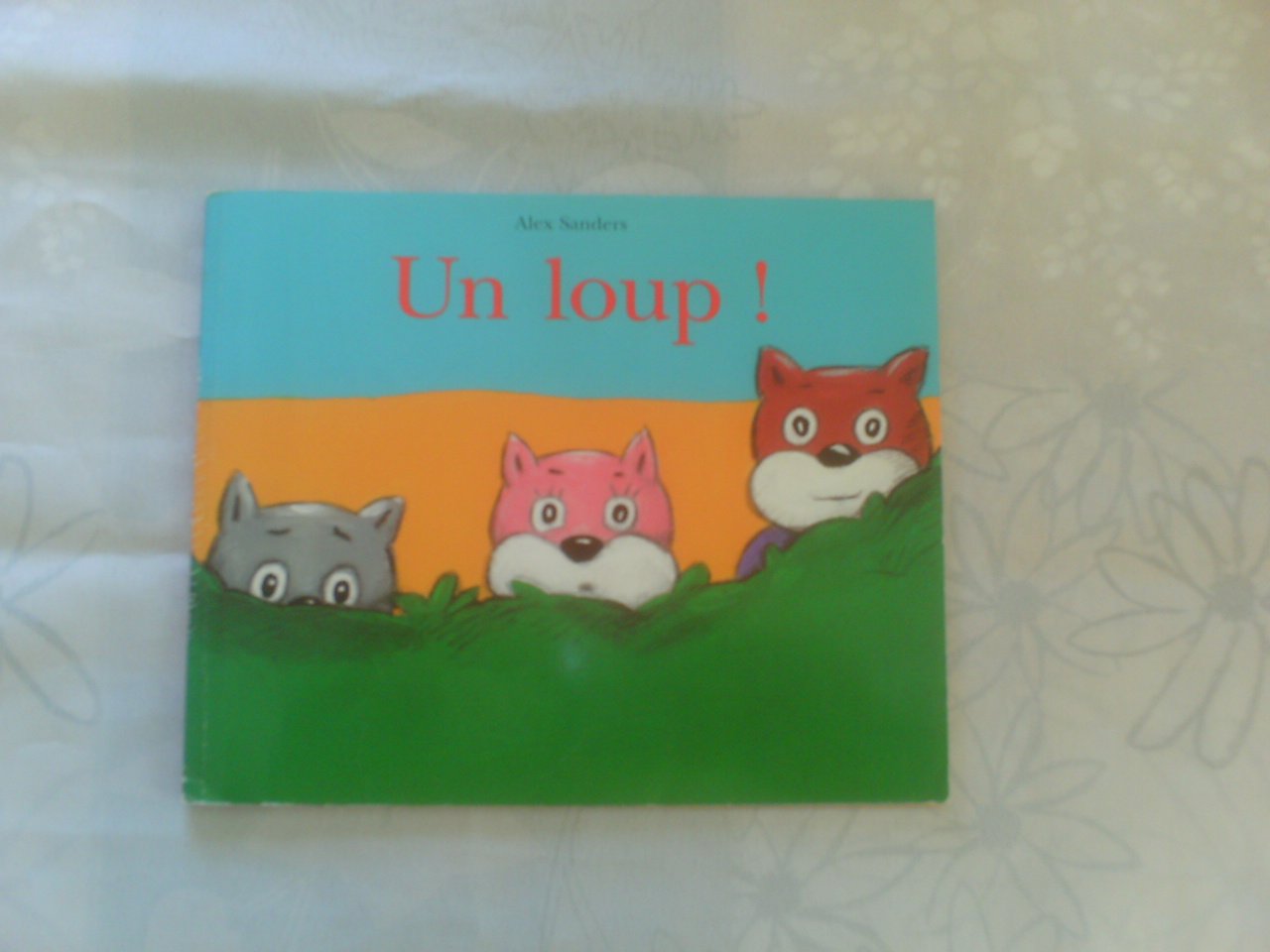 Un loup ! 9782211049702